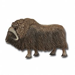 COLLECTA - WILD - Musk Ox, 88837