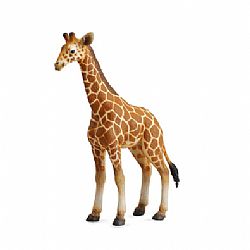 COLLECTA - WILD - Reticulated Giraffe Calf, 88535
