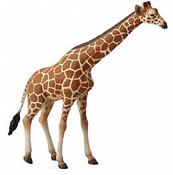 COLLECTA - WILD - Reticulated Giraffe, 88534