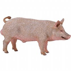COLLECTA - FARM - Boar, 88864