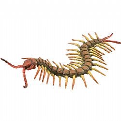 COLLECTA - INSECTS - Centipede, 88885