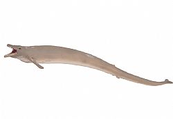 COLLECTA - DINOS - Basilosaurus, 88797