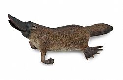 COLLECTA - WILD - Platypus, 88795