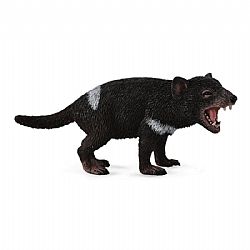 COLLECTA - WILD - Tasmanian Devil, 88656