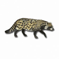 COLLECTA - WILD - African Civet, 88824