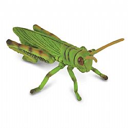 COLLECTA - INSECTS - Grasshopper, 88352