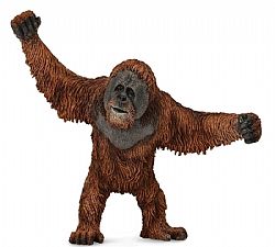 COLLECTA - WILD - Orangutan, 88730