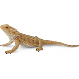 COLLECTA - WILD - Bearded Dragon Lizard, 88567