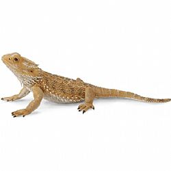 COLLECTA - WILD - Bearded Dragon Lizard, 88567