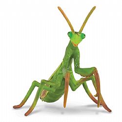 COLLECTA - INSECTS - Praying Mantis, 88351