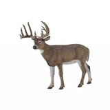 COLLECTA - WILD - White Tailed Deer, 88832