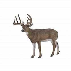 COLLECTA - WILD - White Tailed Deer, 88832