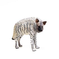 COLLECTA - WILD - Striped Hyena, 88566