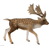 COLLECTA - WILD - Fallow Deer, 88685