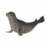 COLLECTA - OCEAN - Spotted Seal, 88658