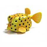 COLLECTA - OCEAN - Boxfish, 88788