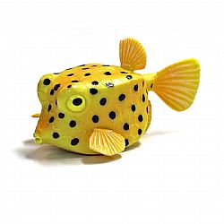 COLLECTA - OCEAN - Boxfish, 88788