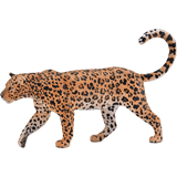 COLLECTA - WILD - African Leopard, 88866