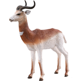 COLLECTA - WILD - Dama Gazelle, 88865