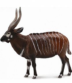 COLLECTA - WILD - Bongo Antelope, 88809