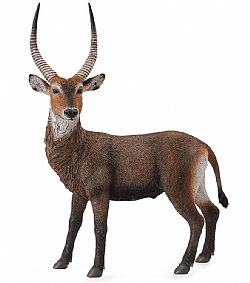 COLLECTA - WILD - Waterbuck, 88562