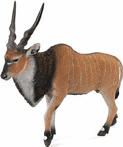 COLLECTA - WILD - Giant Eland Antelope, 88563