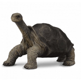 COLLECTA - WILD - Pinta Island Tortoise, 88619