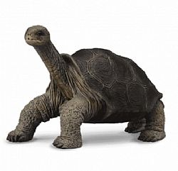 COLLECTA - WILD - Pinta Island Tortoise, 88619