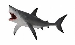 COLLECTA - OCEAN - Great White Shark, 88729