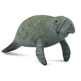 COLLECTA - WILD - Manatee, 88455