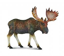 COLLECTA - WILD - Moose, 88335