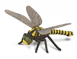 COLLECTA - INSECTS - Golden Ringed Dragonfly, 88350