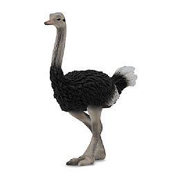 COLLECTA - WILD - Ostrich, 88459