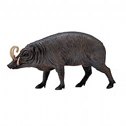 COLLECTA - WILD - Babirusa, 88727