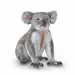 COLLECTA - WILD - Koala, 88940