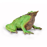 COLLECTA - WILD - Darwins Frog, 88938