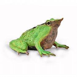 COLLECTA - WILD - Darwins Frog, 88938