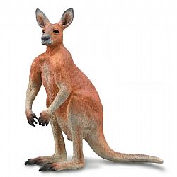 COLLECTA - WILD - Red Kangaroo Male, 88942