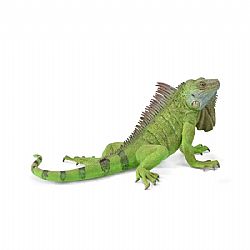 COLLECTA - WILD - Iguana, 88965