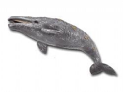 COLLECTA - OCEAN - Grey Whale, 88836