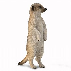 COLLECTA - WILD - Meerkat, 88913