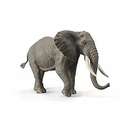 COLLECTA - WILD - African Bush Elephant, 88966