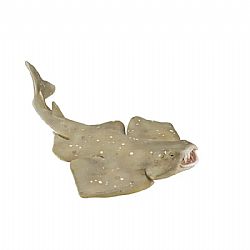 COLLECTA - OCEAN - Angel Shark, 88999