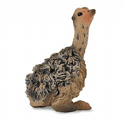 COLLECTA - WILD - Ostrich Chick Sitting, 88460