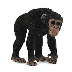 COLLECTA - WILD - Chimpanzee Female, 88493