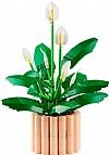 LEGO - BOTANICALS - Peace Lily, 11504